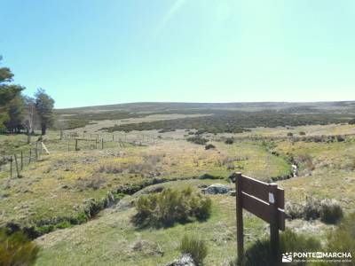 Perdiguera (El Marraz) - Altos de la Morcuera; ruta nacimiento del rio cuervo ruta del alto tajo alb